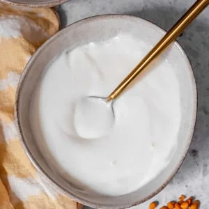 Plain Dahi